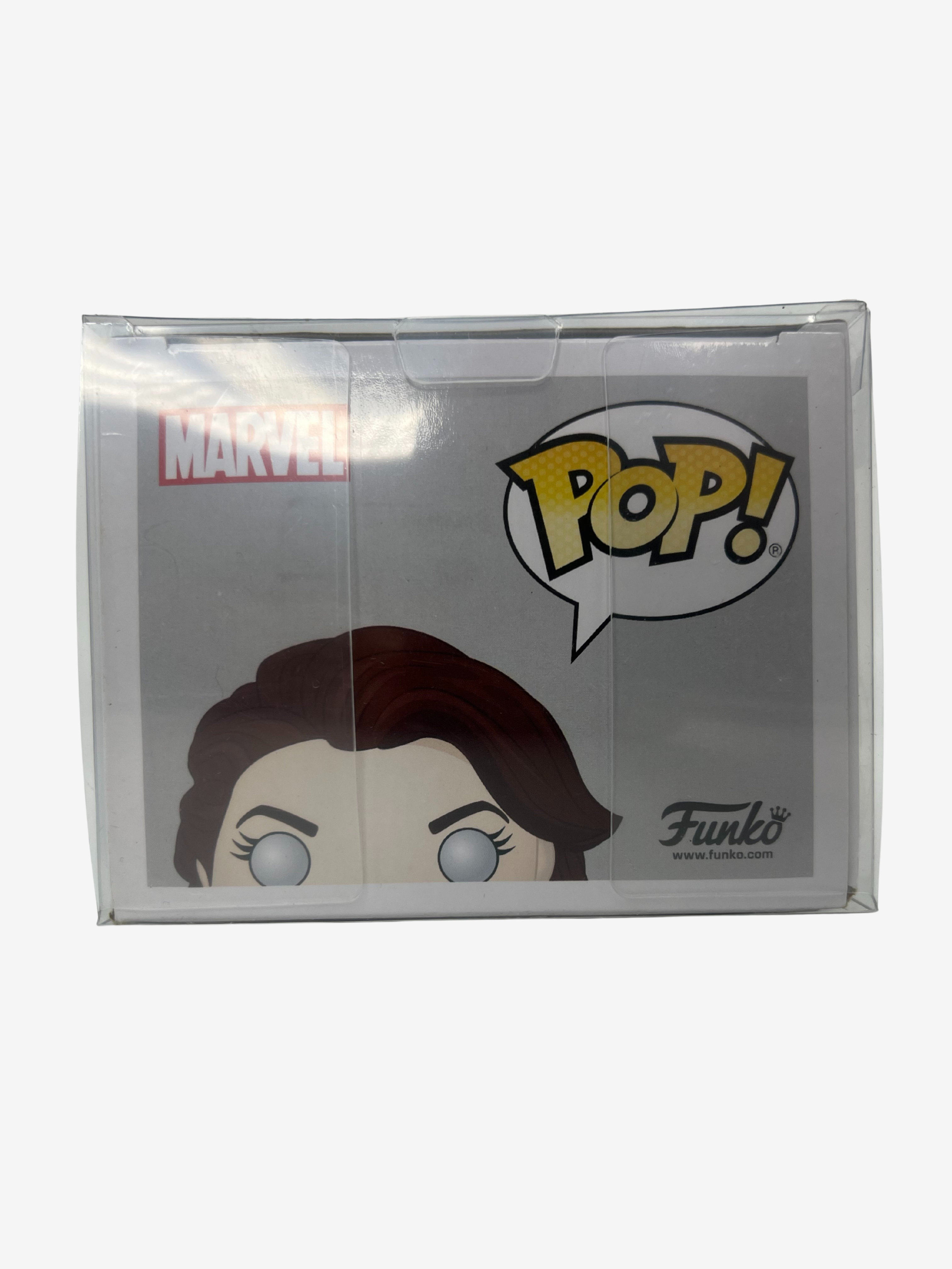 Marvel: El Jinete Fantasma Cósmico LACC